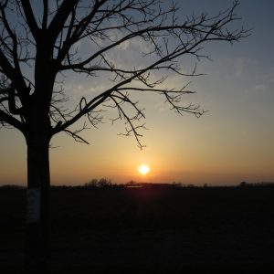 IMG_3283